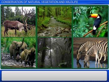 Wild Life Conservation Essay